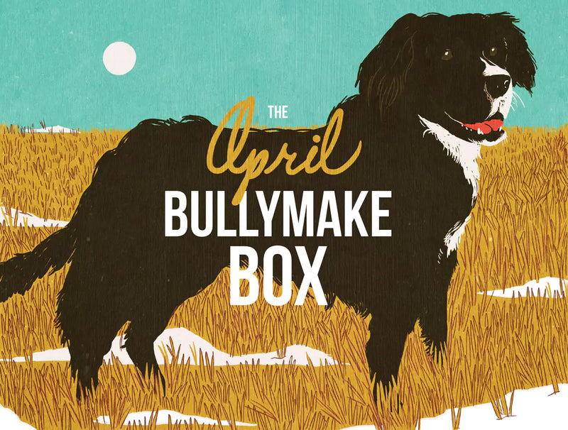 The April Bullymake Box