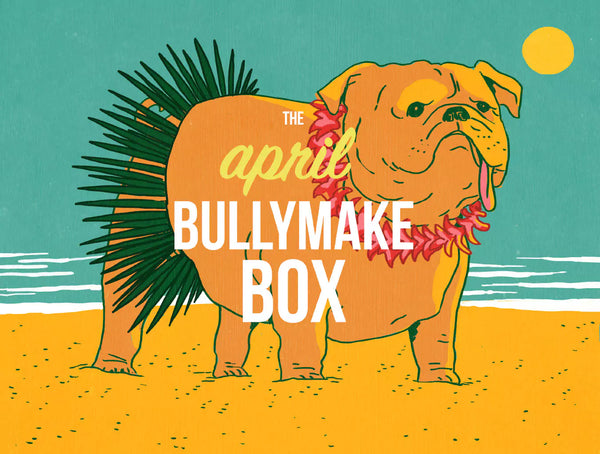 The April Bullymake Box