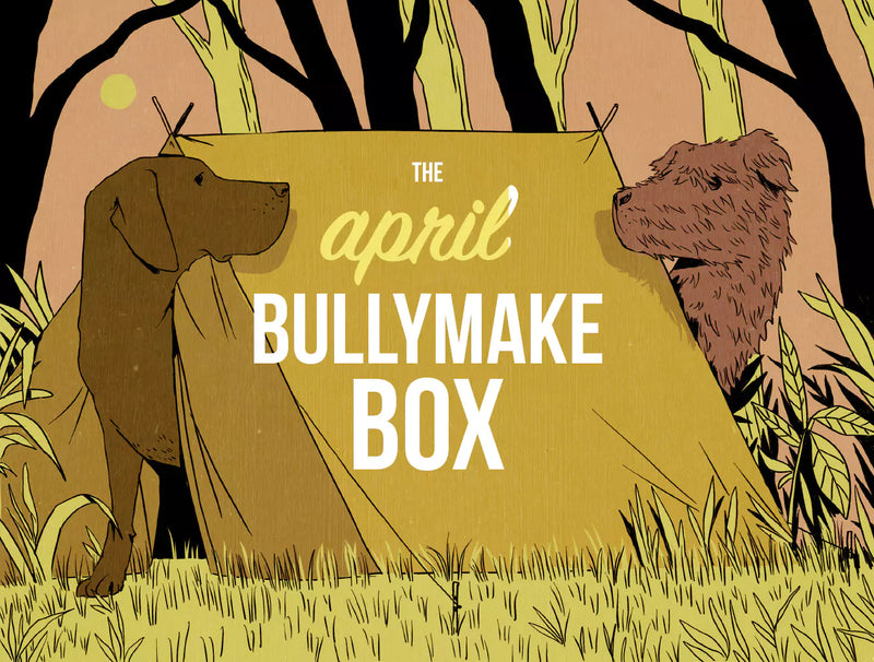 The April Bullymake Box