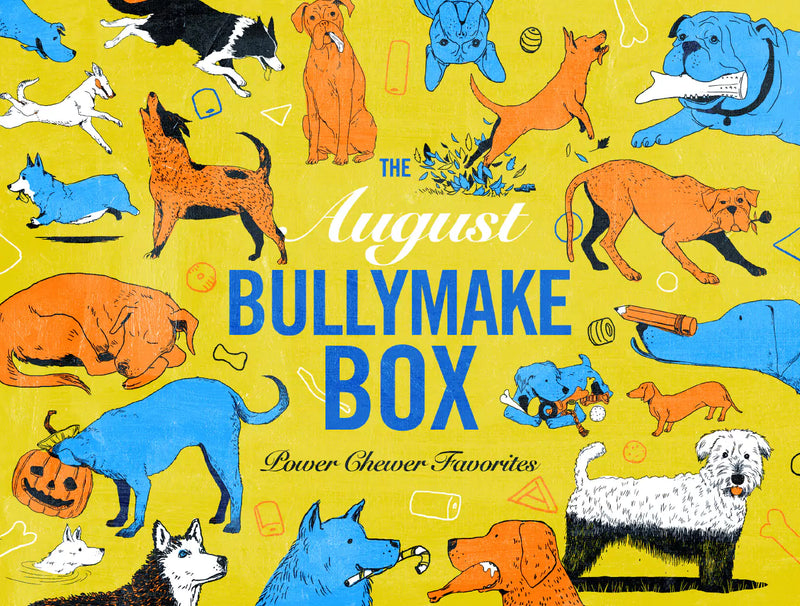 The August Bullymake Box