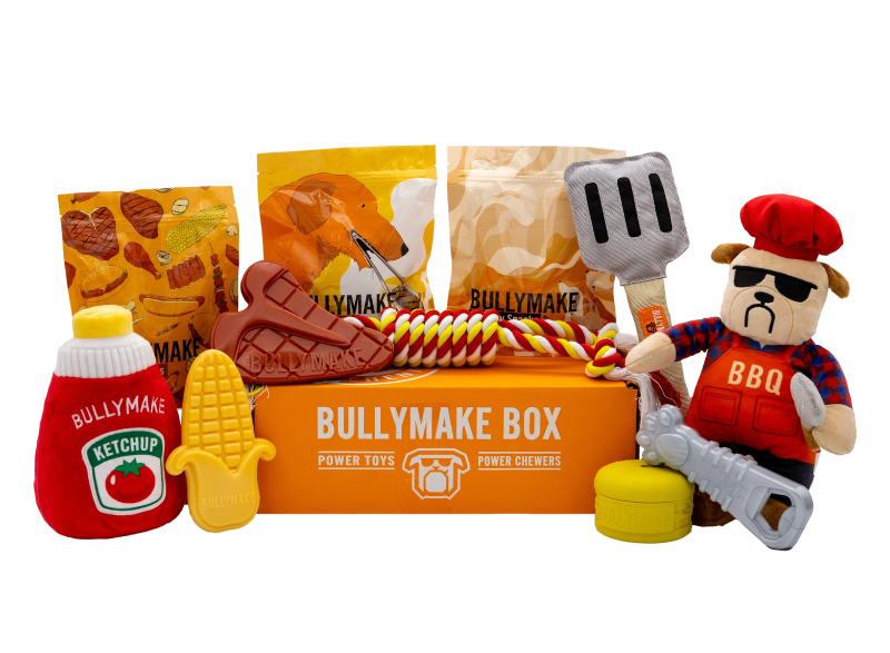 THE BACKYARD BBQ BULLYMAKE BOX