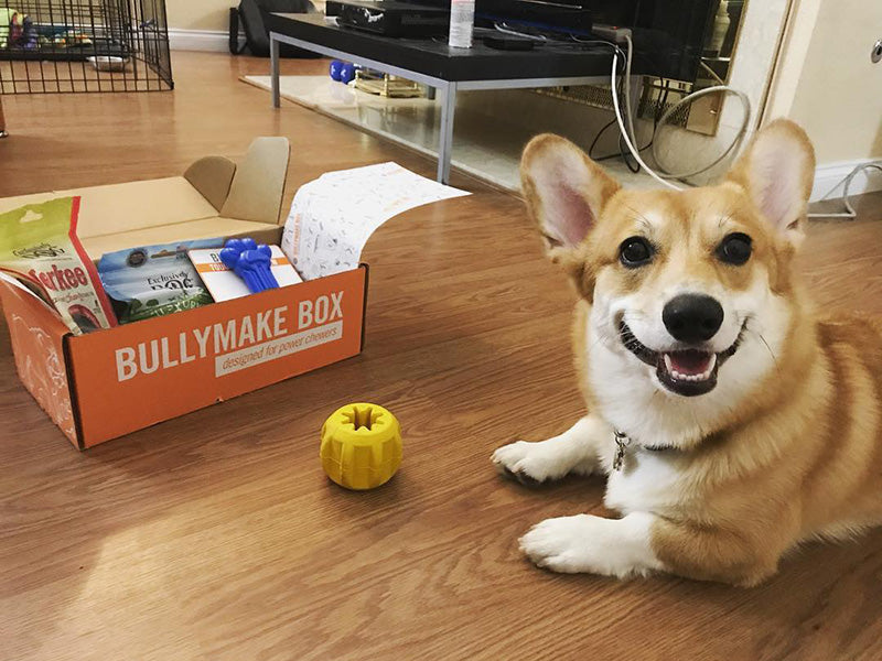 Toys Only Box - 6 Month Subscription