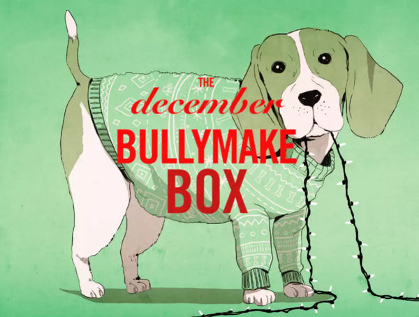 The December Bullymake Box