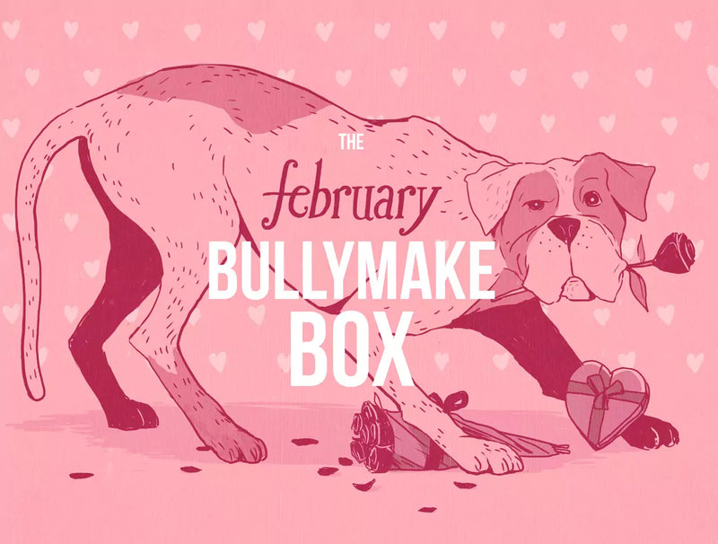The February Bullymake Box