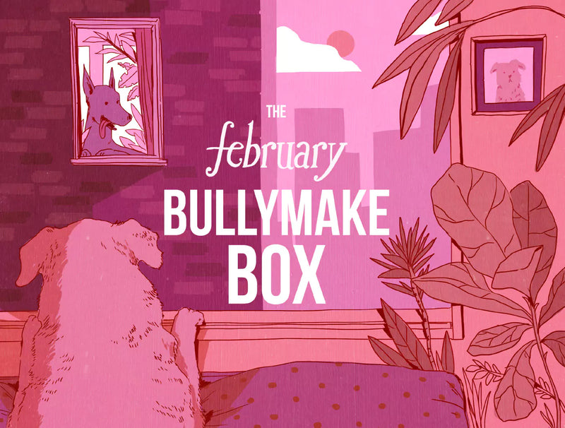 The February Bullymake Box