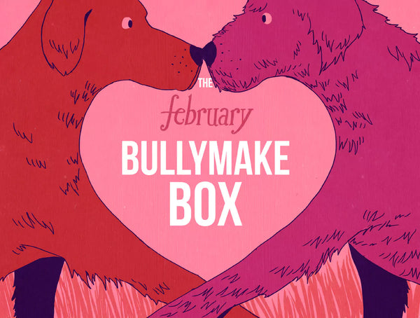 The February Bullymake Box