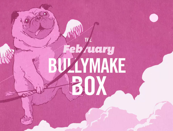 The February Bullymake Box