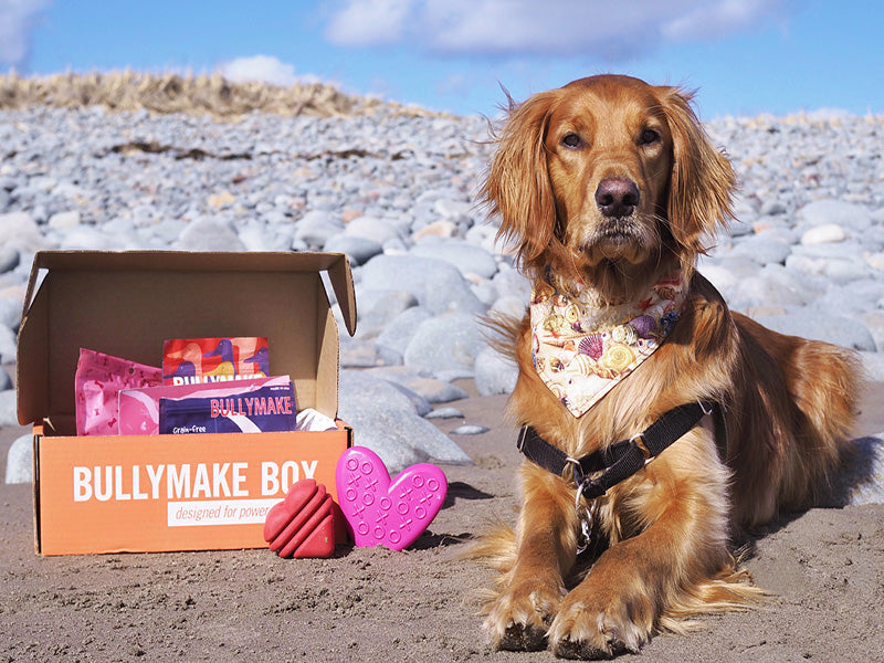 Toys Only Box - 12 Month Subscription