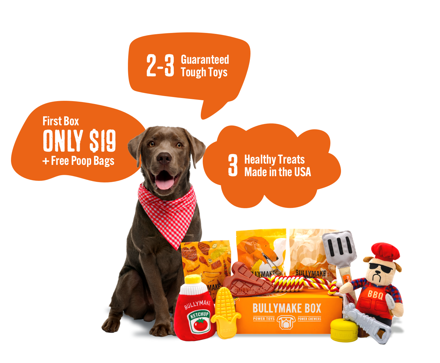 Dog with travel-themed toys, treats, and a Bullymake Box offer.