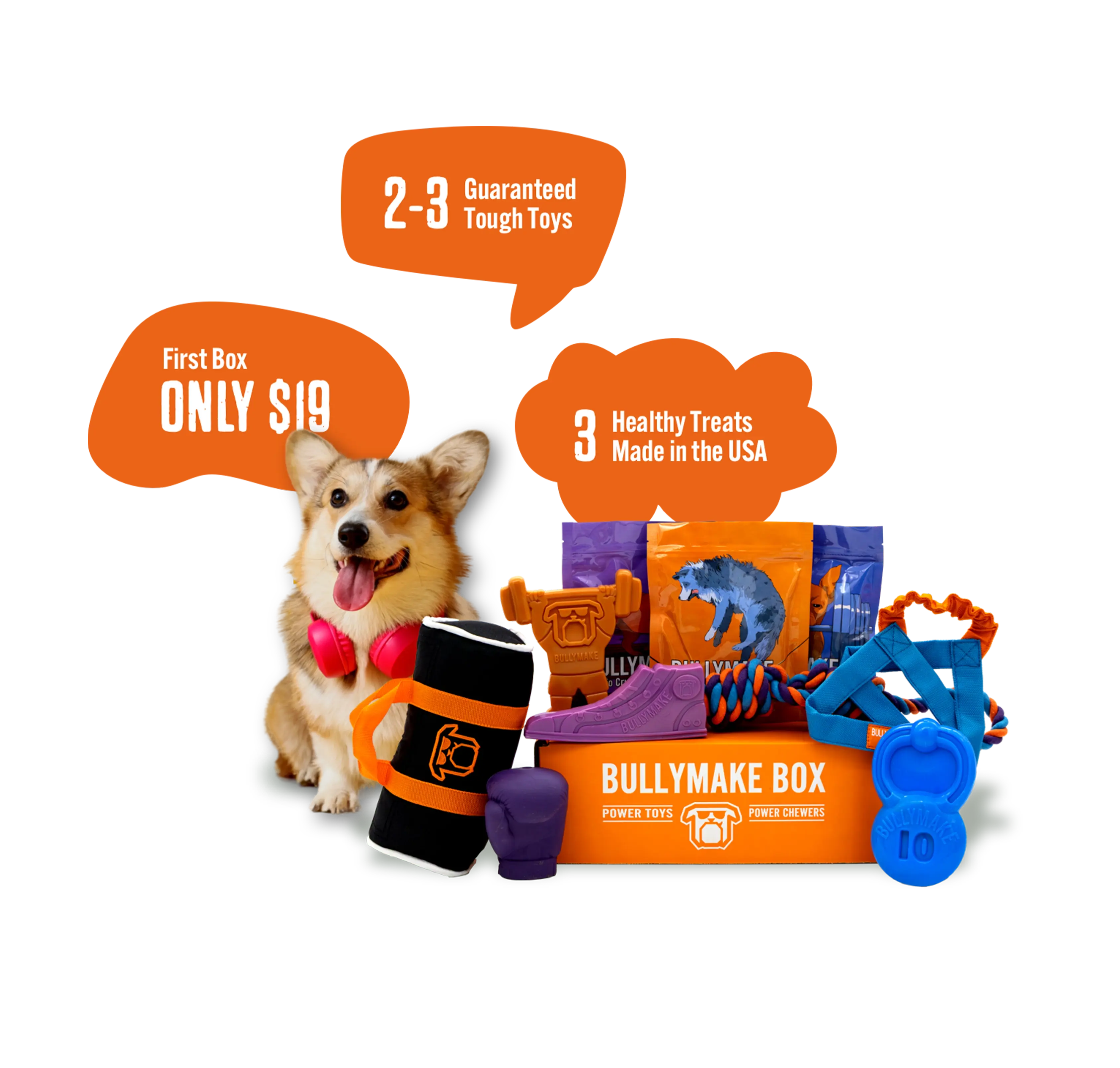 Dog with travel-themed toys, treats, and a Bullymake Box offer.