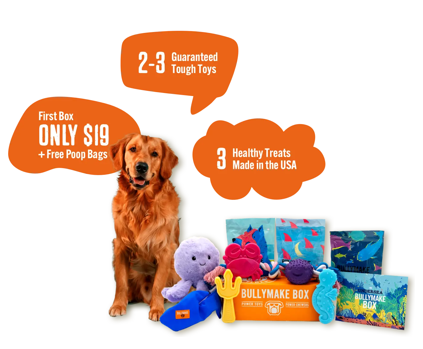 Dog with travel-themed toys, treats, and a Bullymake Box offer.