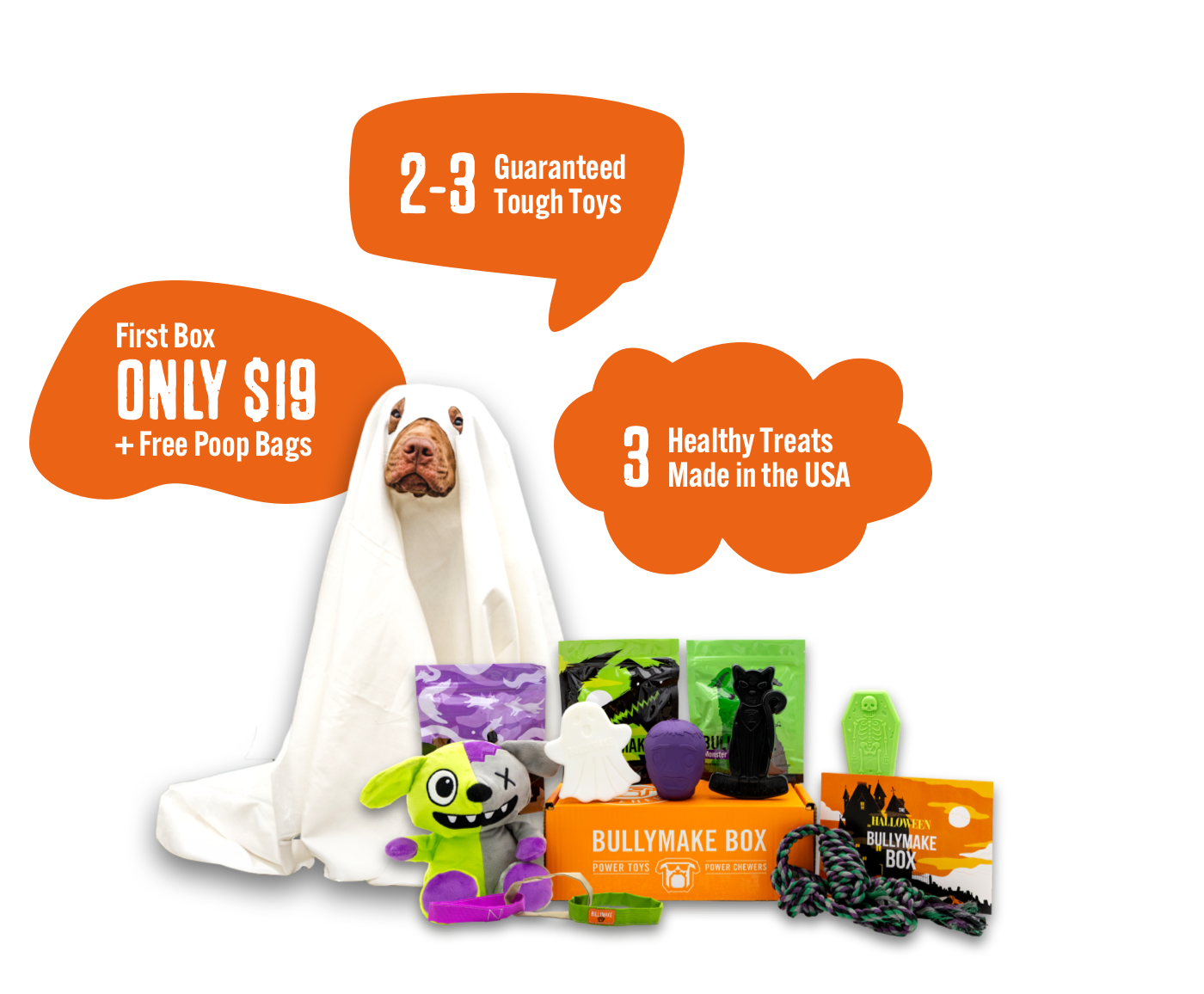 Dog with travel-themed toys, treats, and a Bullymake Box offer.