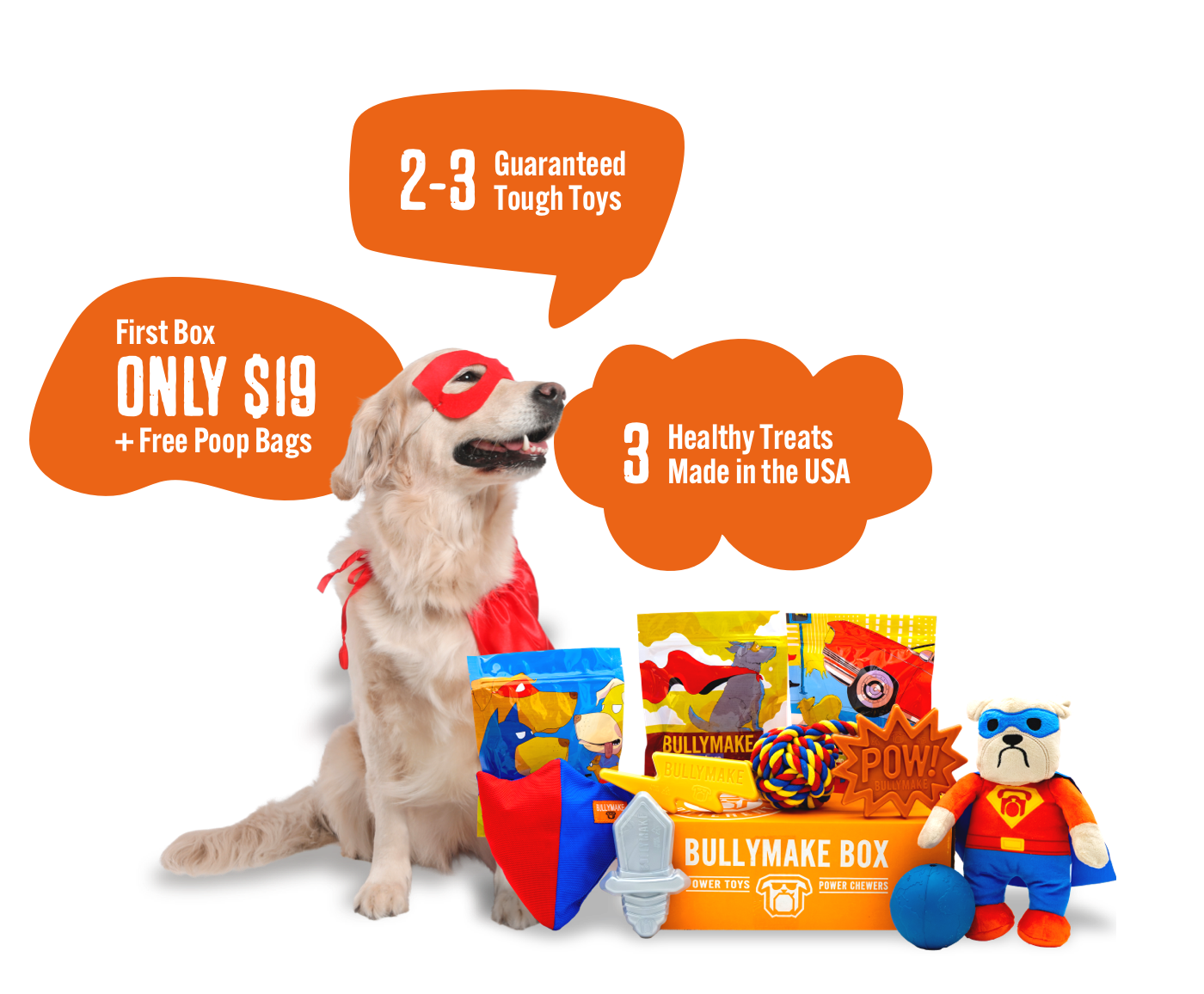 Dog with travel-themed toys, treats, and a Bullymake Box offer.