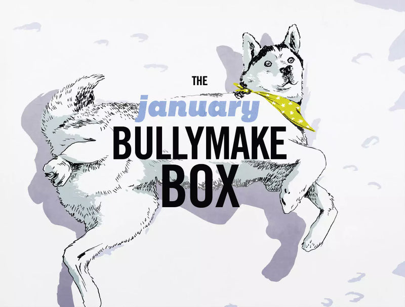The January Bullymake Box