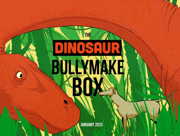 The Dinosaur Bullymake Box