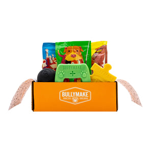 Toys & Treats Box - 1 Month Subscription