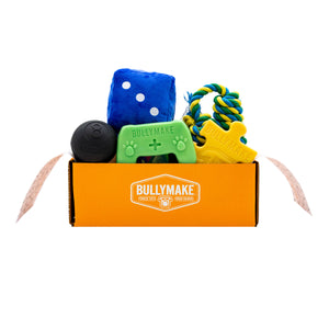 Toys Only Box - 1 Month Subscription