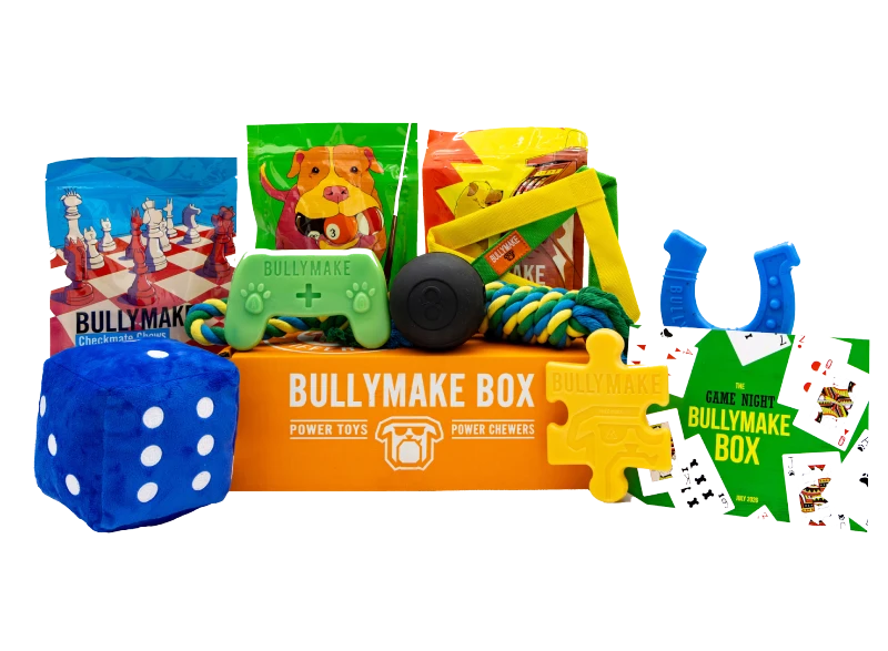 THE GAME NIGHT BULLYMAKE BOX