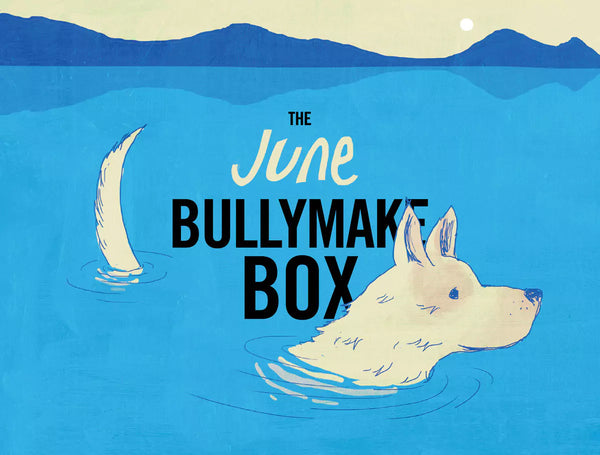 The June Bullymake Box