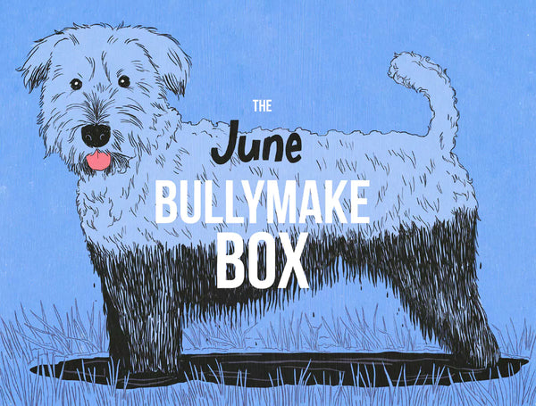 The June Bullymake Box
