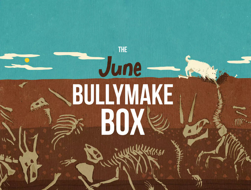 The June Bullymake Box