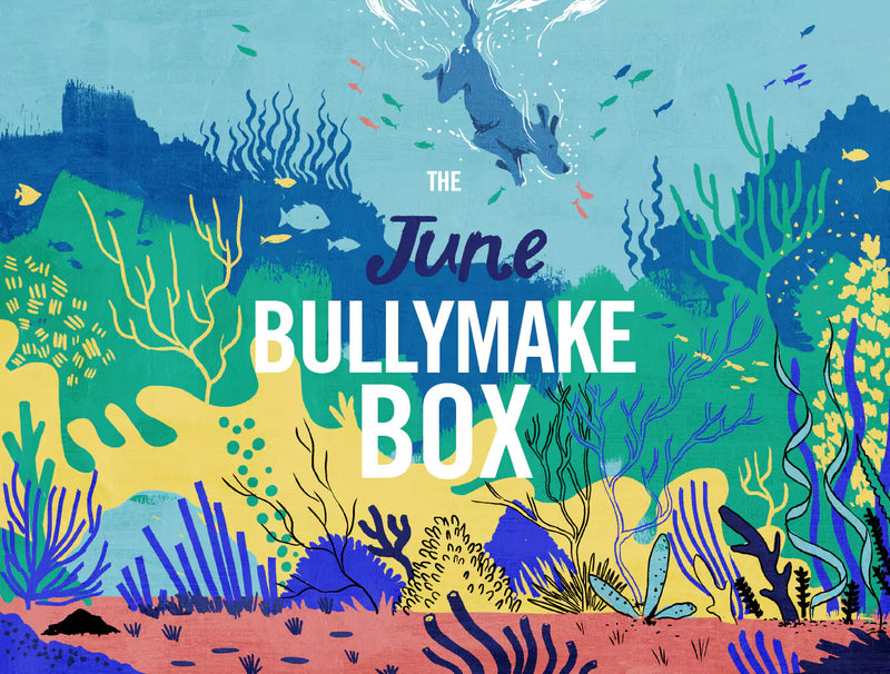 The June Bullymake Box
