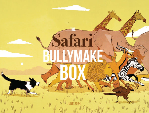 The Safari Bullymake Box