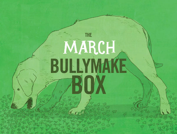 The March Bullymake Box