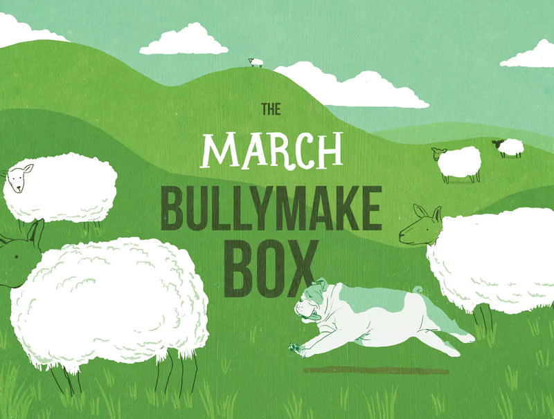 The March Bullymake Box