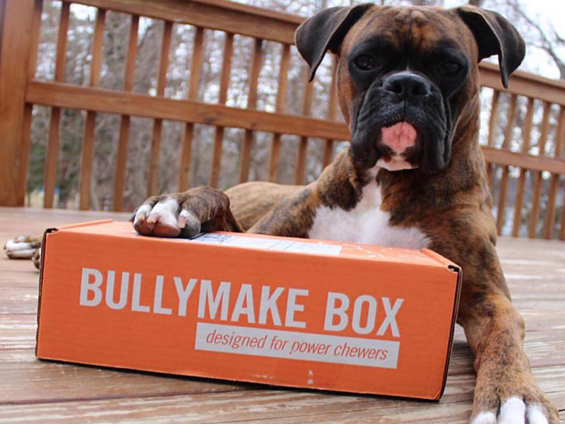 Toys Only Box - 12 Month Subscription [Prepaid]