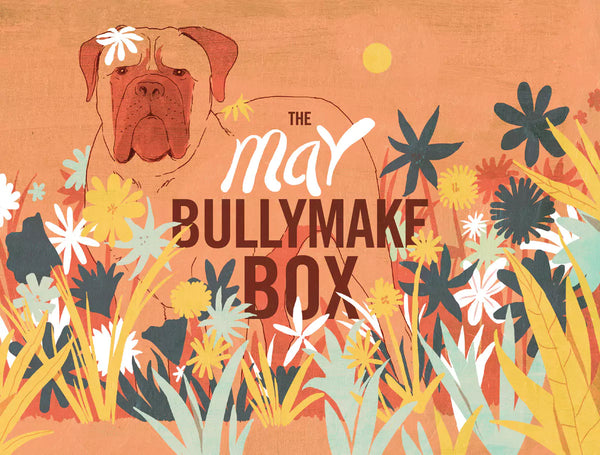 The May Bullymake Box