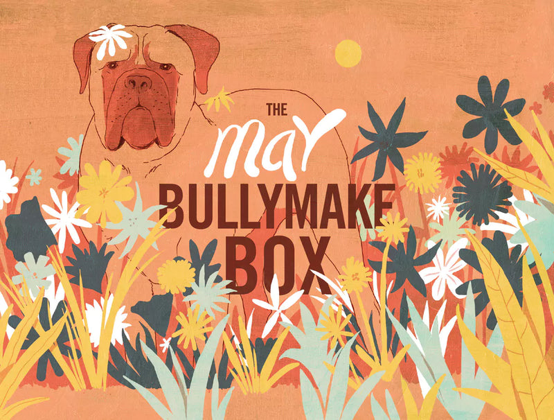 The May Bullymake Box