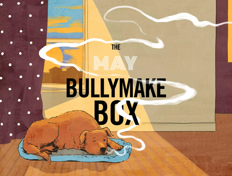 The May Bullymake Box