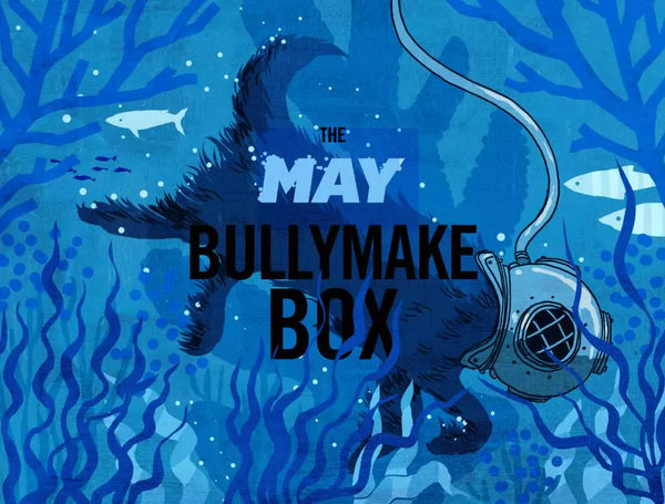 The May Bullymake Box