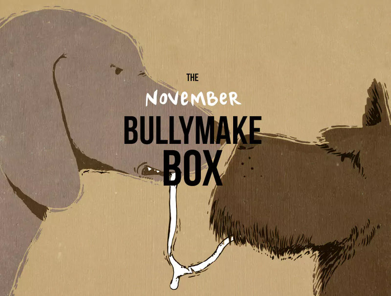 The November Bullymake Box