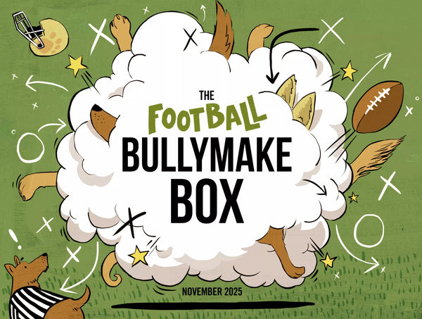 The Football Bullymake Box