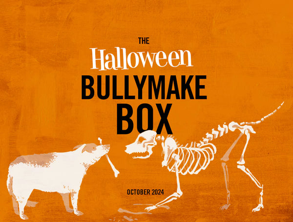 The Halloween Bullymake Box