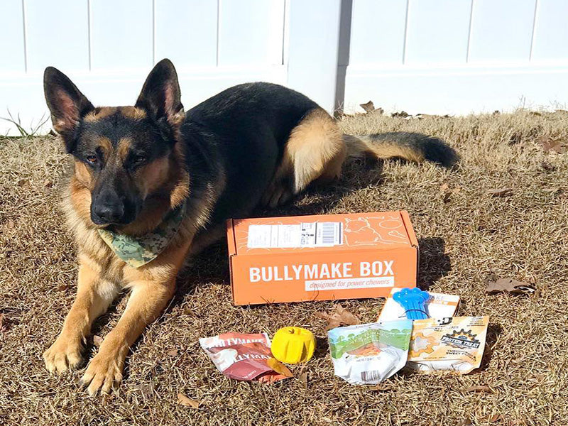 Toys & Treats Box - 6 Month Subscription [Prepaid]