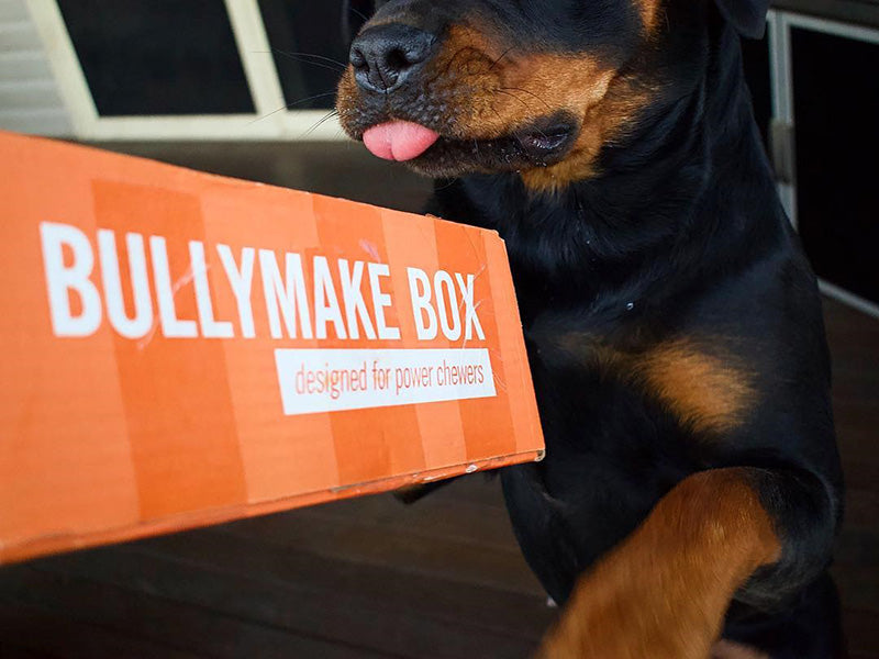 Toys Only Box - 12 Month Subscription [Prepaid]