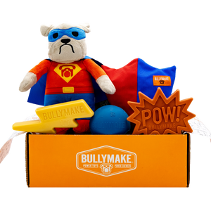 Toys Only Box - 12 Month Subscription