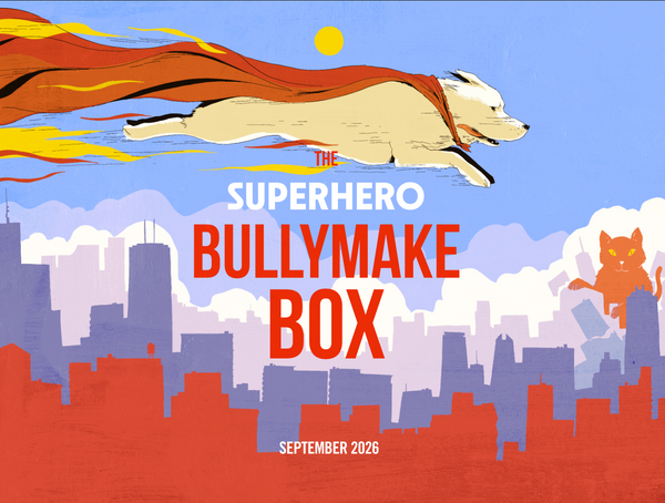 THE SUPERHERO BULLYMAKE BOX