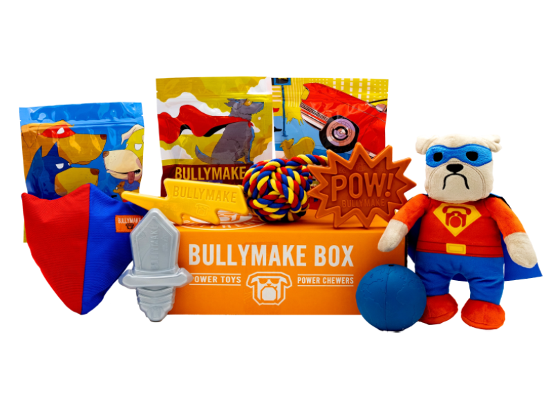 THE SUPERHERO BULLYMAKE BOX