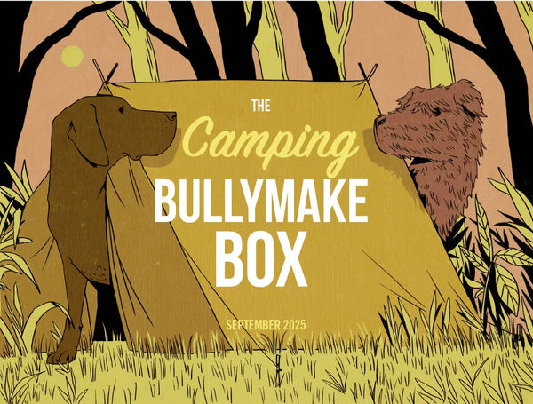 The Camping Bullymake Box