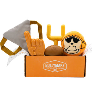 Toys Only Box - 6 Month Subscription [Prepaid]