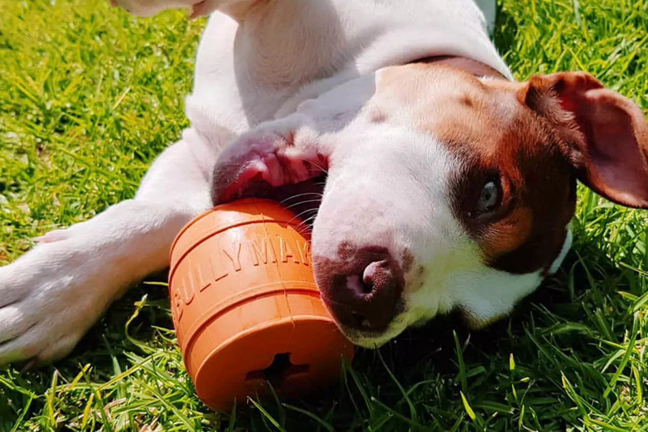 Product promotion slide 1