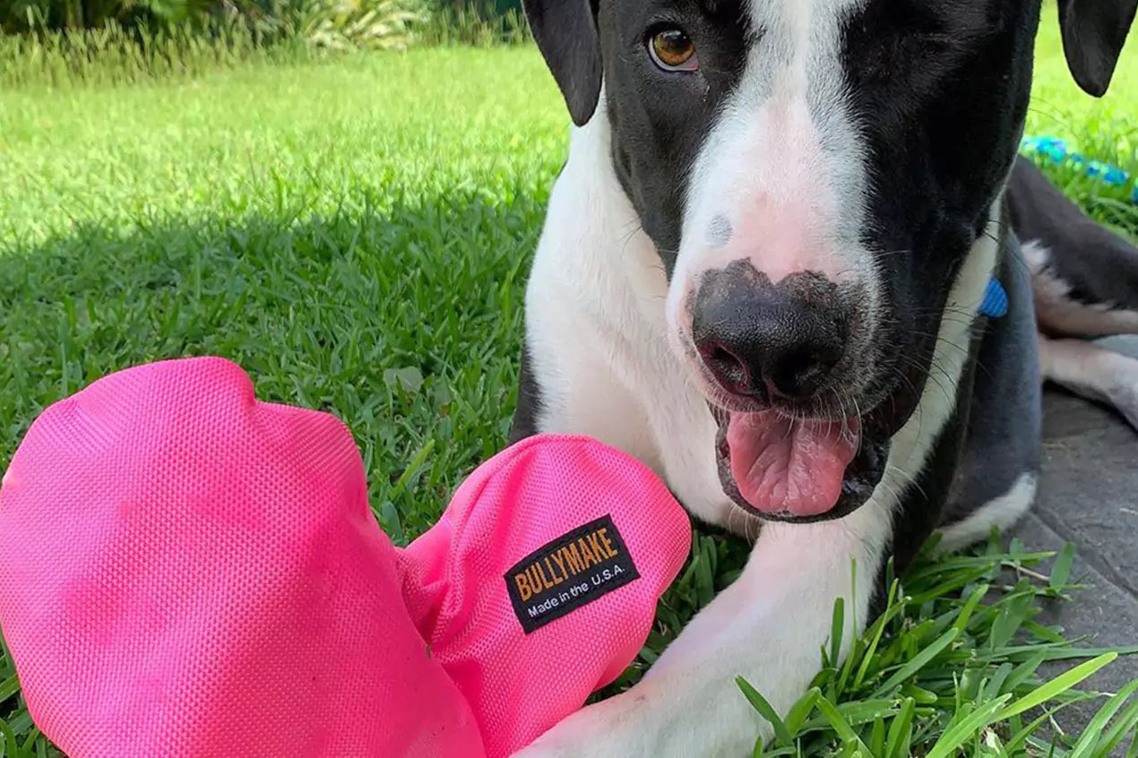 Product promotion slide 8