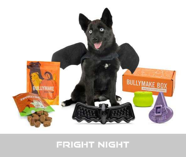 Bullymake Box, Durable Dog Toys! - Tales From Home