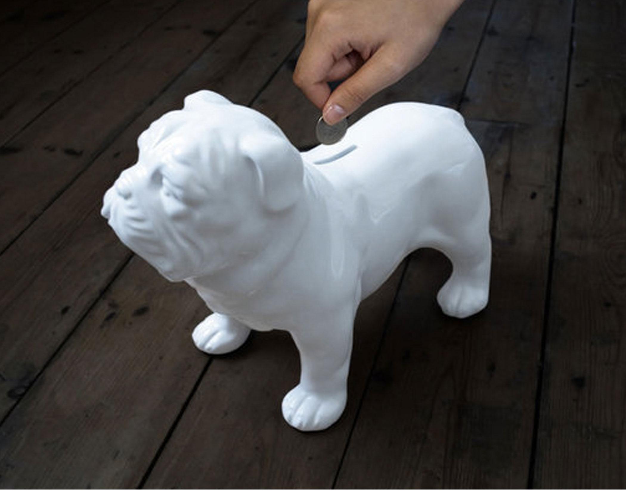 white english bulldog price