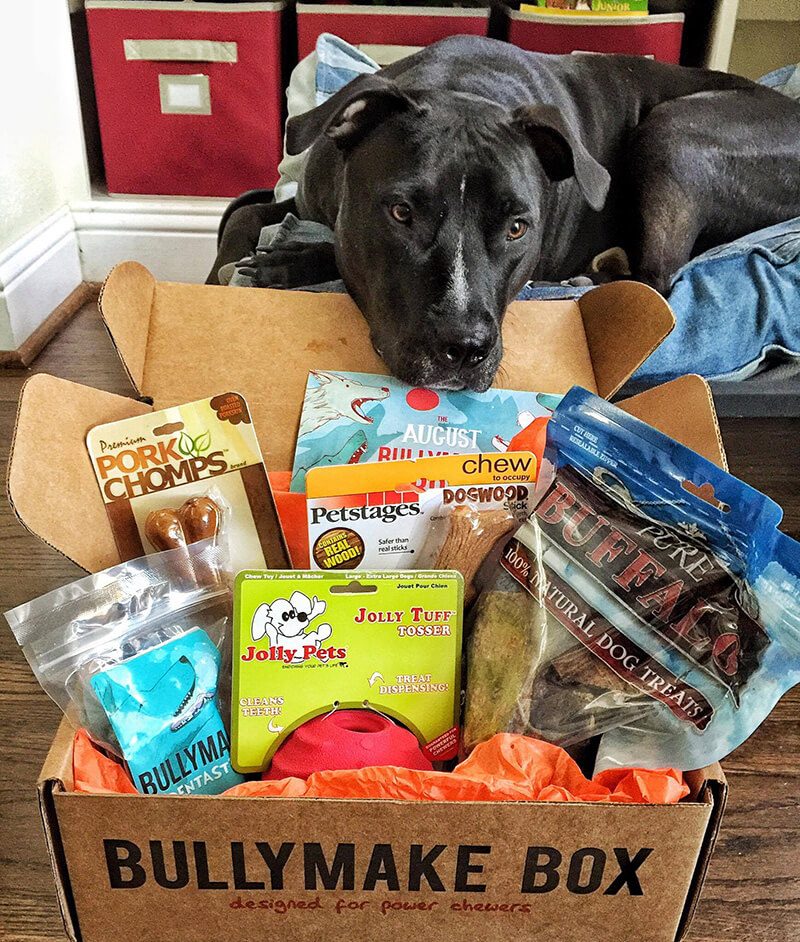 Bullymake Box 1 Month Subscription