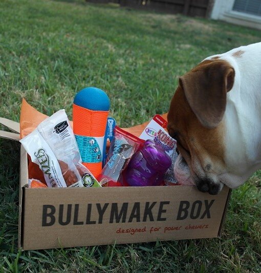 bullymake amazon